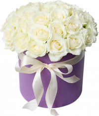 Букет «Белые росы»